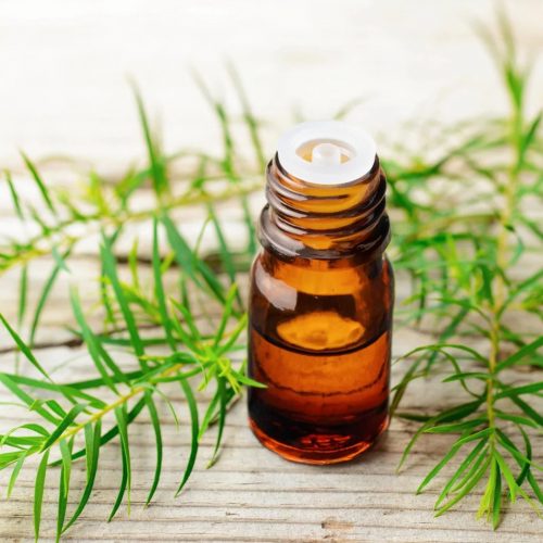 John Seagram Essential Oils